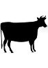Biological fluids - Cow