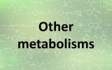 Assay kits - Other metabolisms