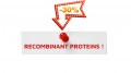 High-quality and pure recombinant proteins!