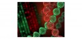 Neodye DNA Red:  La Mejor Alternativa al EtBr