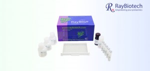 Ahorre un 25 % en todos los kits ELISA de RayBiotech