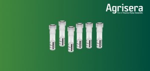 10 % DE DESCUENTO EN ANTICUERPOS PARA LA FOTOSÍNTESIS