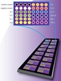 Quantitative Cytokines antibody microarray