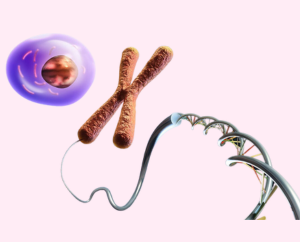 Growth and Differentiation factor set for Stem Cell