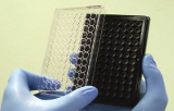 Piastra da 96 pozzetti in polistirene per coltura 3D - Alvetex Scaffold