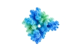 Tumor necrosis factor