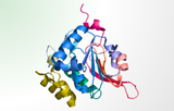 Proteins for CGT