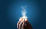 CRISPR/Cas9 Technology