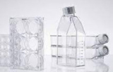 Attrezzature per la coltura cellulare 3D