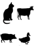 DNA genomico - Altre specie