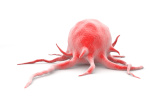 Kit qPCR per la diagnosi in oncologia
