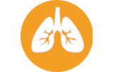 Sonde di ibridazione in situ - Patologia polmonare