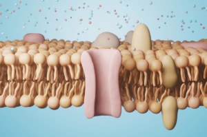 Scoprite i nostri detergenti di alta qualità