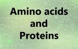 Aminoacidi e proteine