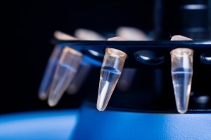 Reagenti EZLys™ per la lisi cellulare