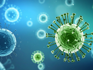 Strumenti per la rilevazione e la ricerca del virus Nipah