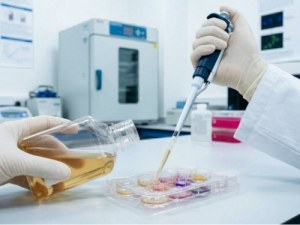 Soluzioni a base di FBS per una crescita cellulare costante
