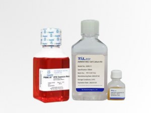 Promuovere la terapia cellulare e genica con terreni di coltura ottimizzati