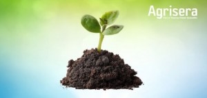 15% DI SCONTO Anticorpi per Ricerca sullo Stress Ambientale