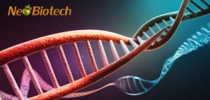 50% OFF Neo Biotech PCR/qPCR Reagents
