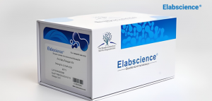Risparmia il 25% su una selezione di test metabolici di Elabscience!