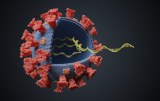 SARS-CoV-2 - Kit di estrazione dell'RNA virale
