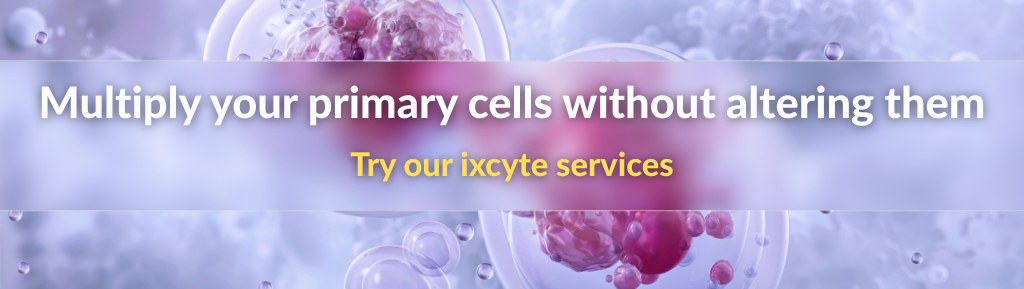 upcyte-service