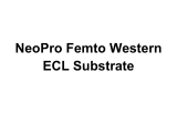 NeoPro Femto Western ECL Substrate