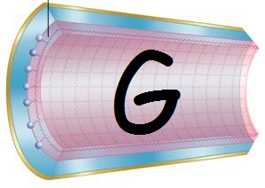 Eiwit G zuivering