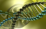 Genomisch DNA
