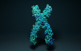 Kits for the preparation of Illumina libraries - ATAC-Seq
