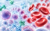 Animal-free erythropoietic factors