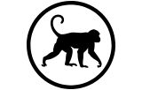 Anti-Monkey primary antibody in vivo