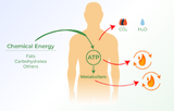Testkits voor metabolisme