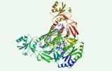 NAD-kinase-activiteitstest