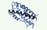 Peptidenbibliotheken