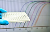 Real-time kwantitatieve PCR voor diagnose