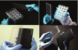 Startpakket met polystyreenplaatjes voor 3D-kweek - Alvetex Scaffold