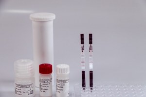 Lateral Flow Assays (LFA)