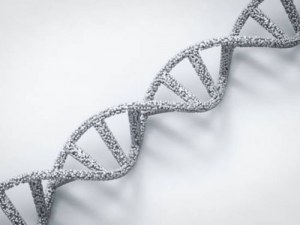 Van extractie tot sequentie: Moleculair biologische gereedschappen voor elke stap