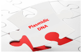 Plasmidic DNA