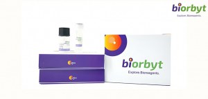 40% OFF Primary Antibodies: Essential Tools For Your Research