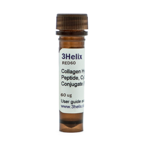 R-CHP | Collagen Hybridizing Peptide, Cy3 Conjugate