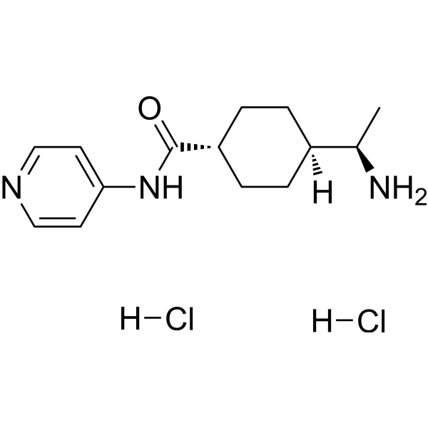 Y-27632 dihydrochloride Chemische Struktur