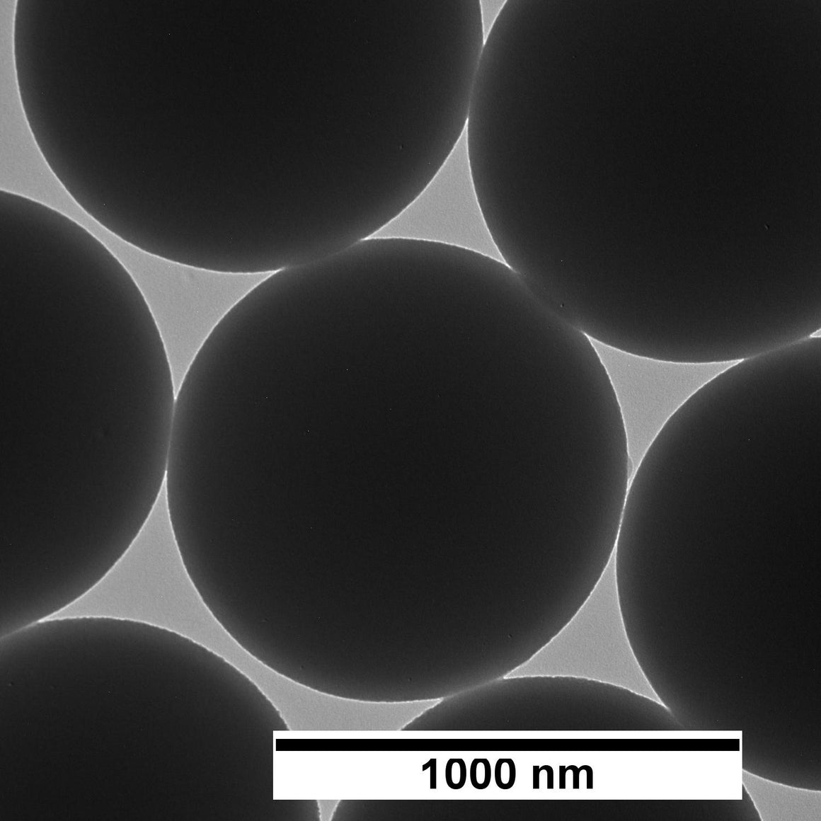 NanoXact Silica Nanospheres
