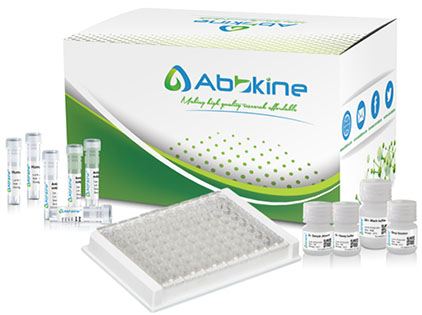 Fig. Abbkine ELISA kit is series of ELISA to quantitate specific protein in samples.
