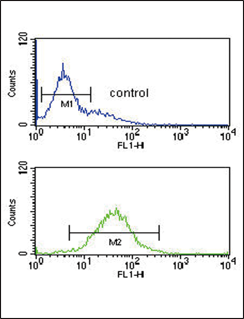 FC - HIF1A Antibody AP4879d