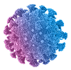 immunology