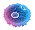 Exosomes
