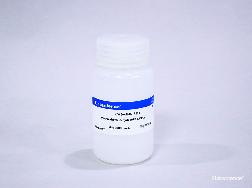 Tissue Fixation Solution / 4% Paraformaldehyde (with DEPC) - 1